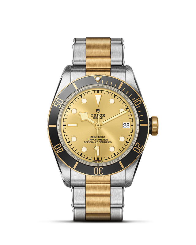 Collezione Tudor Black Bay - TUDOR Black Bay S&G